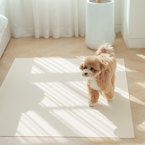 개놀자 슬림 실리콘 강아지 롤매트 고양이 미끄럼방지 매트 아이보리, 140x200cm